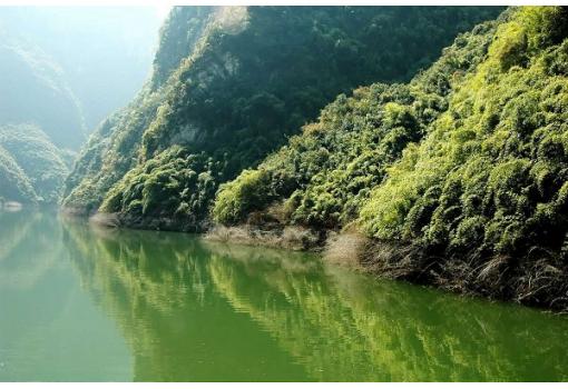 paisajes frondosos e inalterados